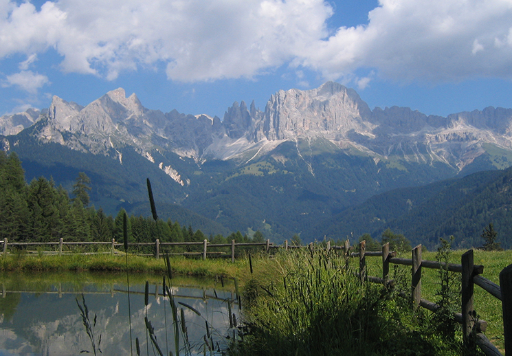 Sul Monte Cavone